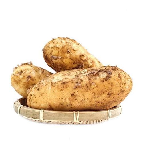 蔬菜云語(yǔ)新鮮蔬菜根莖菜綜合鏈接