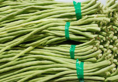 佛山可信賴的食堂蔬菜配送推薦,南海工廠蔬菜配送