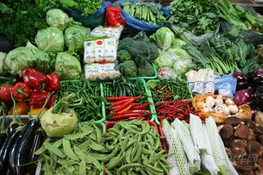 夏利社區圖片集錦