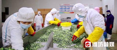 一條龍服務,&ldquo;踩滿油門&rdquo;沖刺預制菜新賽道