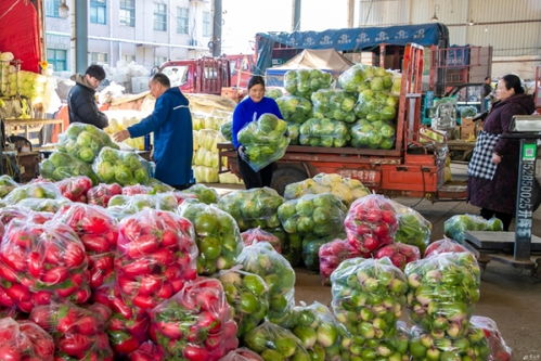 宿豫 農(nóng)產(chǎn)品供銷(xiāo)兩旺