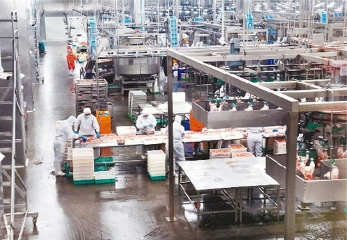 智慧工廠(chǎng)助力轉(zhuǎn)型升級(jí)