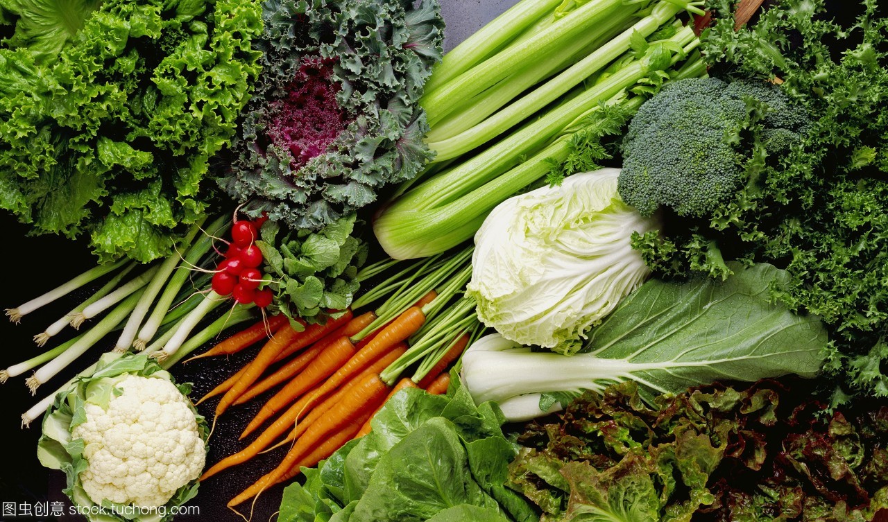 農業什錦蔬菜安排萵苣,綠葉和紅葉生菜,胡蘿卜,蘿卜,芹菜,花椰菜,卷心菜大蔥西蘭花開花甘藍,白菜和萵苣菜;在工作室