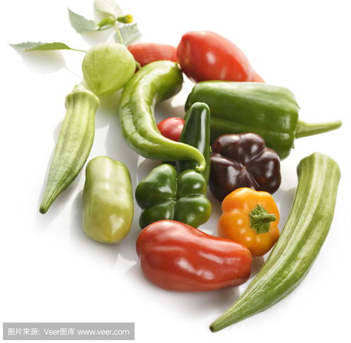 農(nóng)副產(chǎn)品收購(gòu)助力新鮮蔬菜產(chǎn)業(yè)發(fā)展