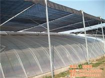 濰坊蔬菜溫室產(chǎn)品庫(kù) 優(yōu)質(zhì)農(nóng)副產(chǎn)品的采購(gòu)指南